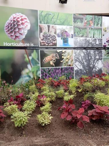 Conservatory & Indoor Gardens