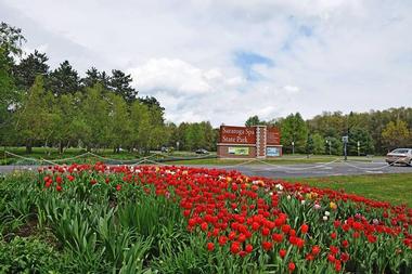 Plan Your Visit