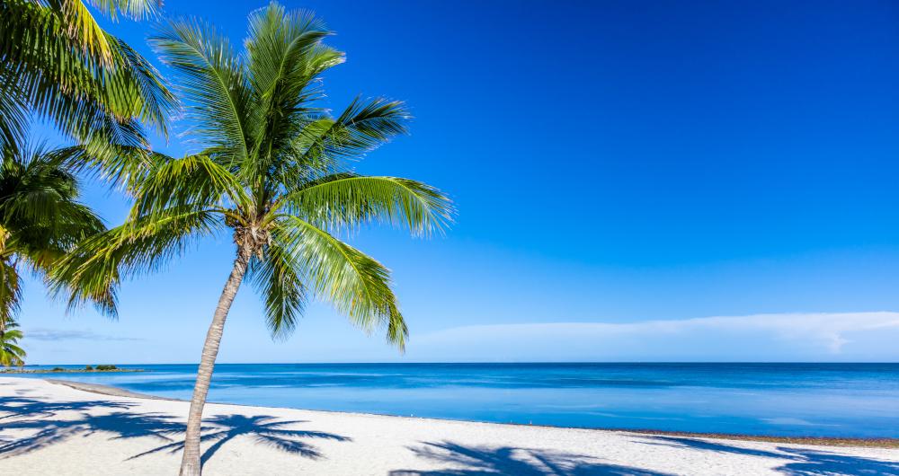 25 Best Places To Visit In Florida