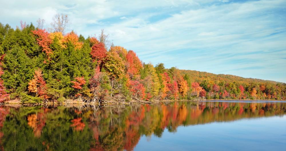 10 Best Things To Do In Kingsport TN