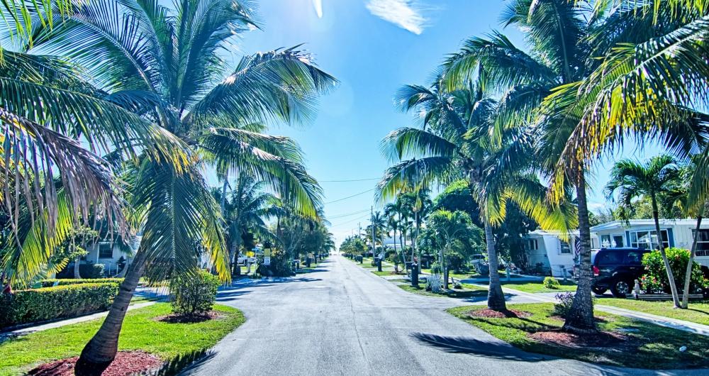 25-fun-things-to-do-in-south-florida