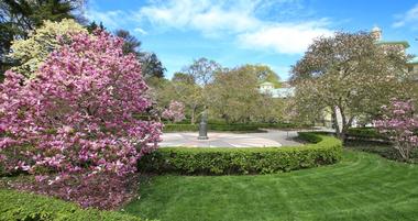 Brooklyn Botanic Garden