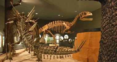Delaware Museum of Natural History