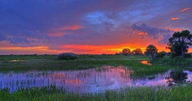 Everglades National Park, Florida
