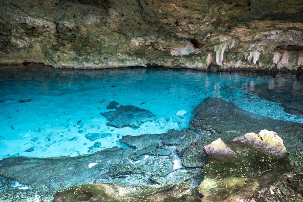 Kantun Chi Ecological Park Riviera Maya Mexico