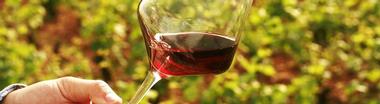 Williamson Wines Online Shop
