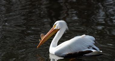 Louisville Zoological Gardens