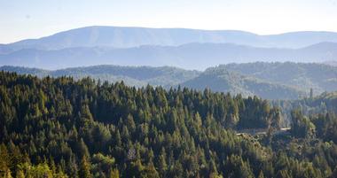 Redwood Park