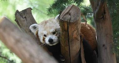 Sacramento Zoo