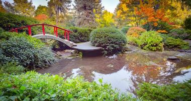 Seattle Japanese Garden
