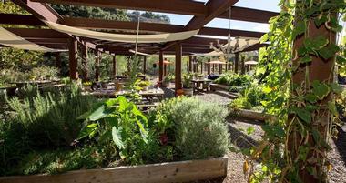 Sycamore Mineral Springs Resort and Spa