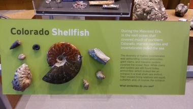Exhibits
