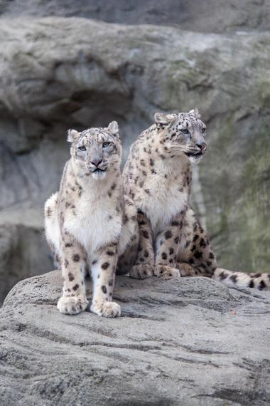 Roger Williams Park Zoo