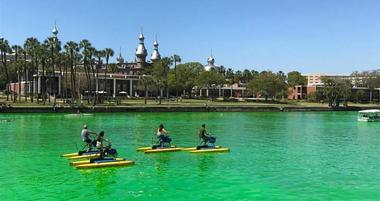 Tampa Bay Water Bike Company