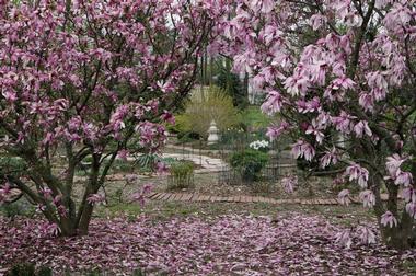 The Gardens