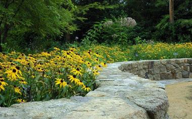 Conservation Garden