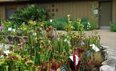 More Gardens