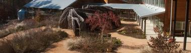 Visitor Information