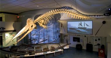 The Nantucket Whaling Museum