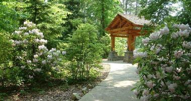 UNCC Botanical Gardens