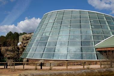 Scaly Slimy Spectacular: The Amphibian and Reptile Experience