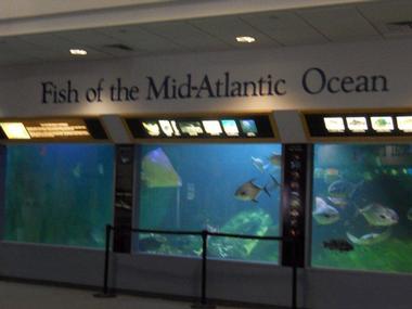 Exhibits