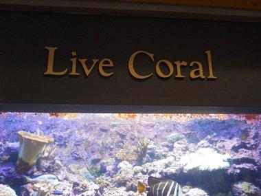 More Exhibits