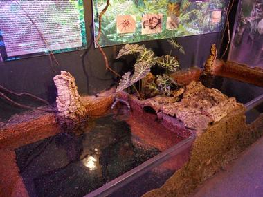 More Exhibits