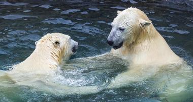 Maryland Zoo