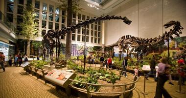 Carnegie Museum of Natural History