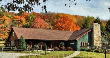 Foggy Mountain Lodge