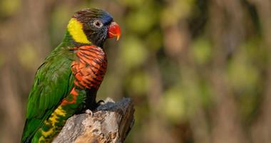 Oregon Zoo