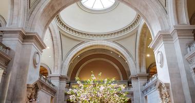 The Metropolitan Museum of Art