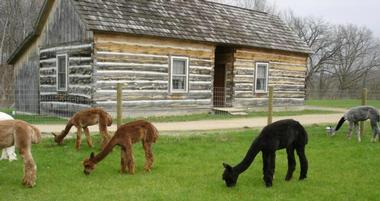 Galena Log Cabin Getaway