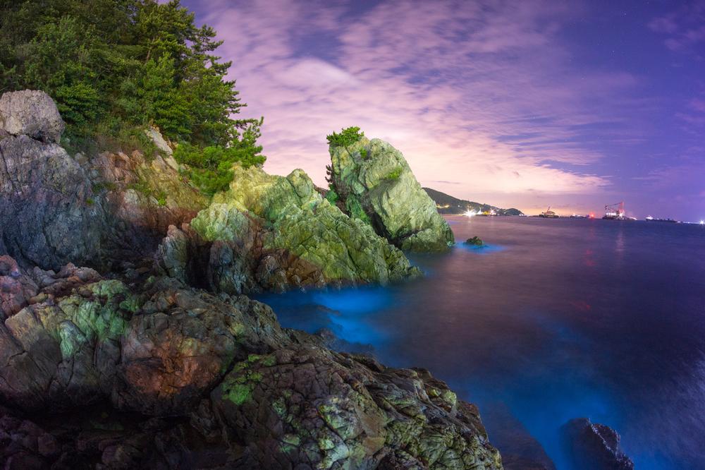 Kayak bioluminescent bays and explore rainforest trails on a romantic getaway.