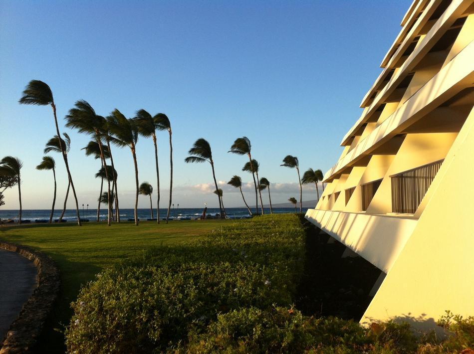 Relax at Mauna Lani Bay Hotel