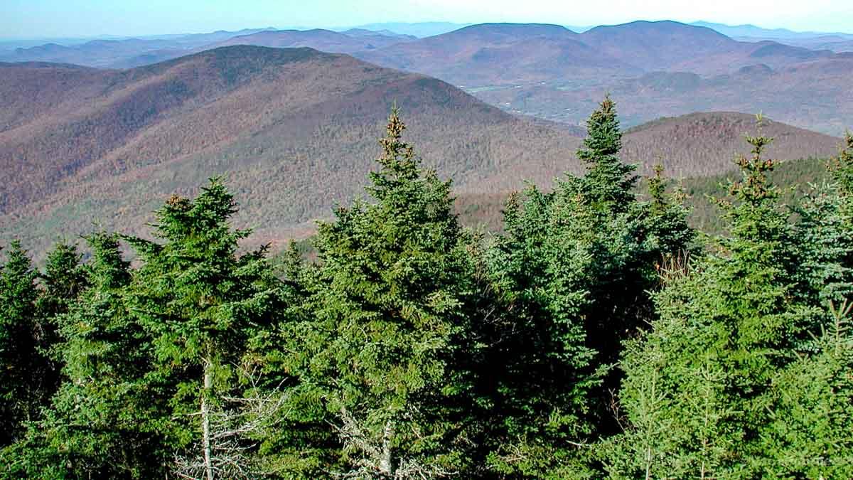 I took this photo during a longer hike in the hills of Vermont in October