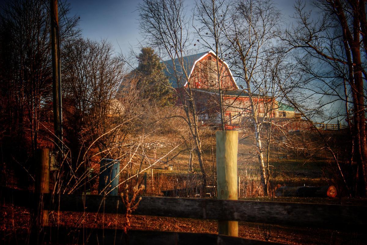 Saginaw, Michigan: River Walks & Autumn Light