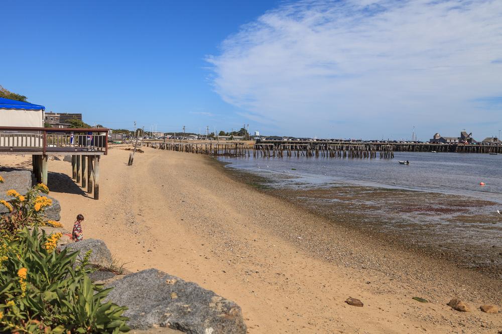 Bask in Coastal Beauty on Cape Cod