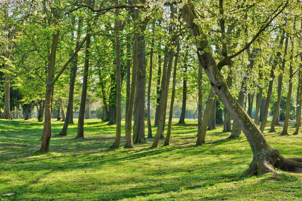 Bike, Paddle, and Relax Across Nature’s Playground at Grand Parc de Miribel Jonage