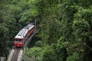 Tijuca Forest