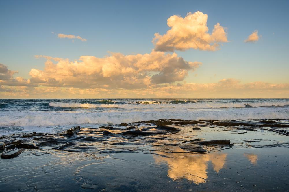 Shoreline Park | Parks in San Diego