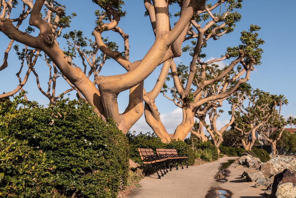 Harbor Island Park | Parks in San Diego