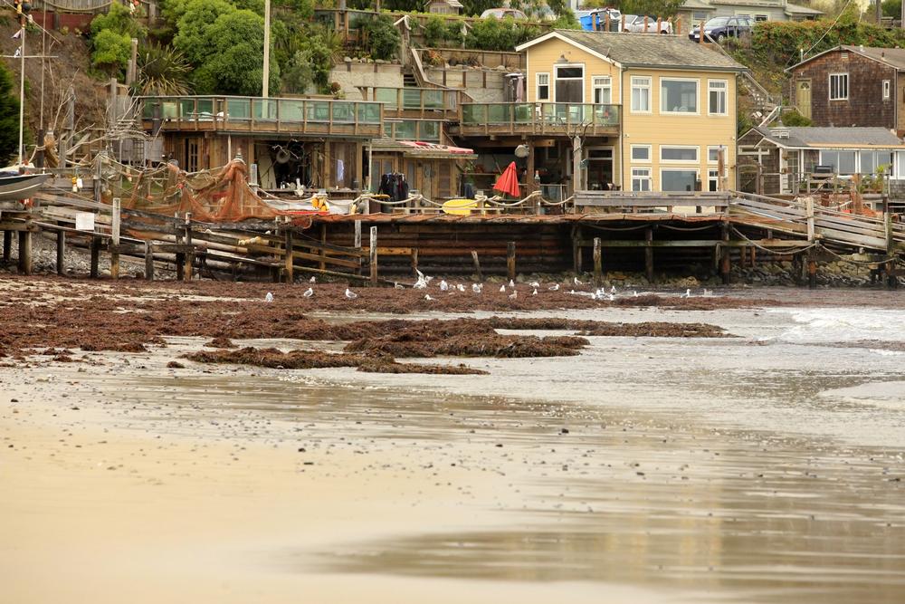 Catch gentle waves and savor a family-friendly day at this popular surf spot.