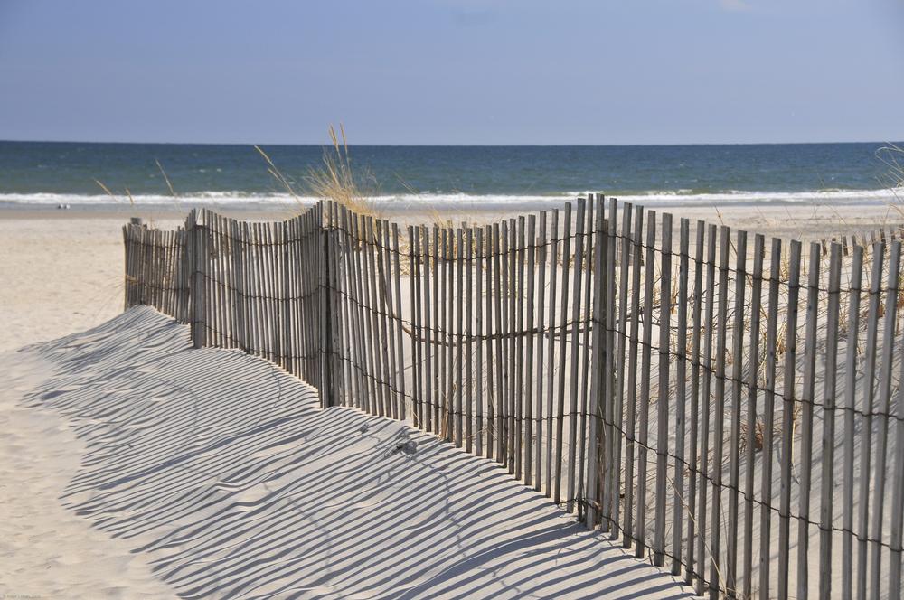 Wildwood Dog Beach - Nj - Beaches That Allow Dogs