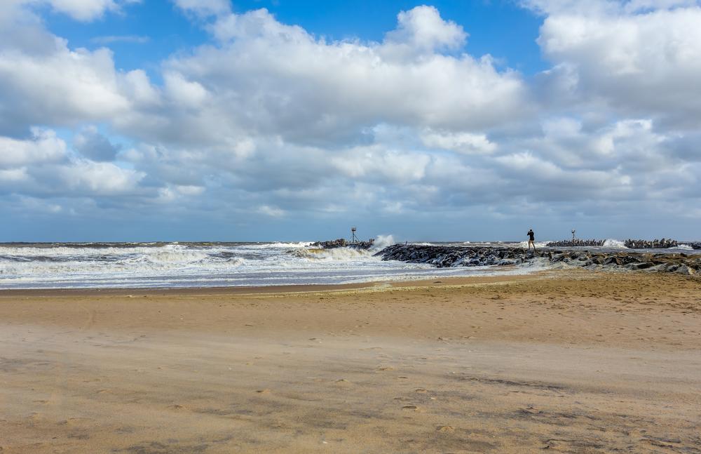 Walk scenic trails and let dogs enjoy the shore.