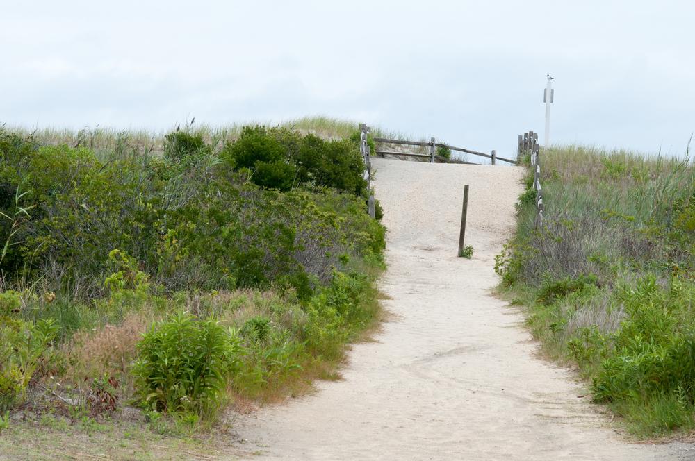 Walk along unspoiled dunes and spot native wildlife.