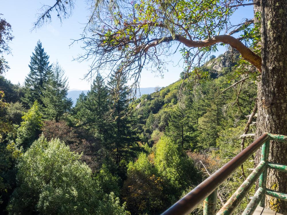 Hike Rugged Trails and Climb Sandstone Formations at Castle Rock State Park