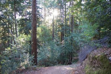 Austin Creek SRA | Tourist Attractions in Guerneville, California