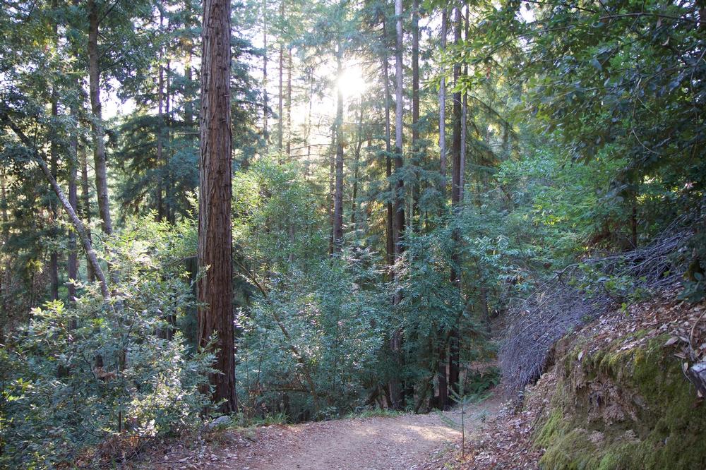 If You Crave Solitude, Escape to Austin Creek SRA